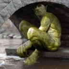 Don’t Read The Comments